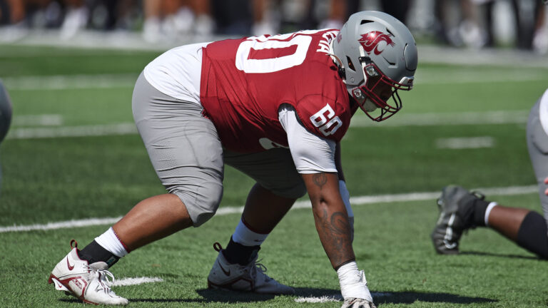 13) DL David Gusta (Washington State -> Kentucky)