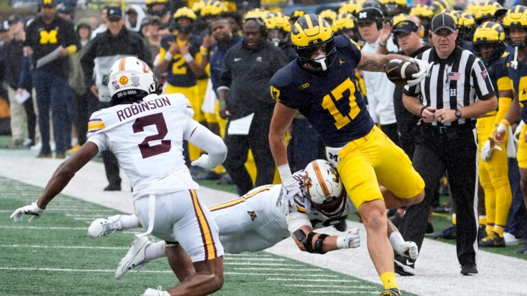 21) Michigan Wolverines