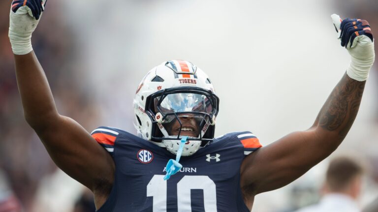 19. Auburn Tigers