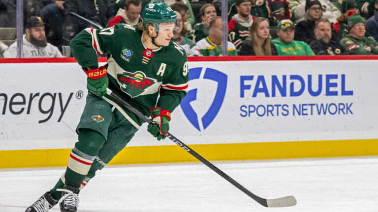 3. Minnesota Wild