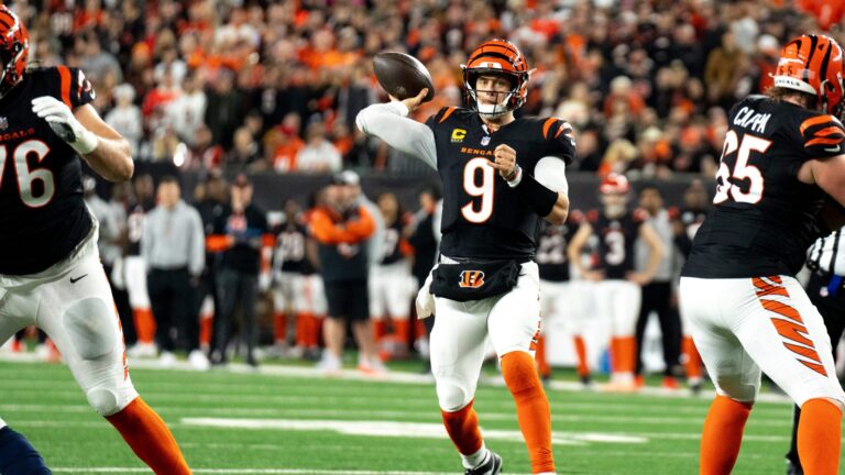 Cincinnati Bengals (8-8) | 3rd Place in AFC North
