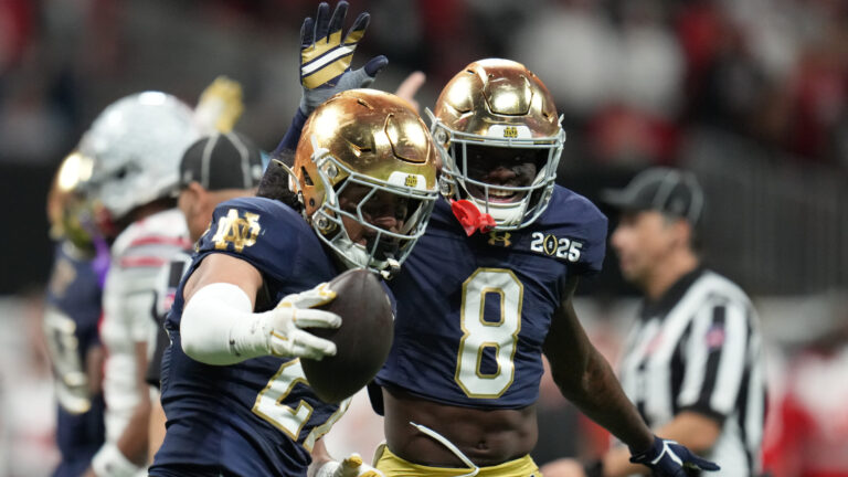 8. Notre Dame Fighting Irish