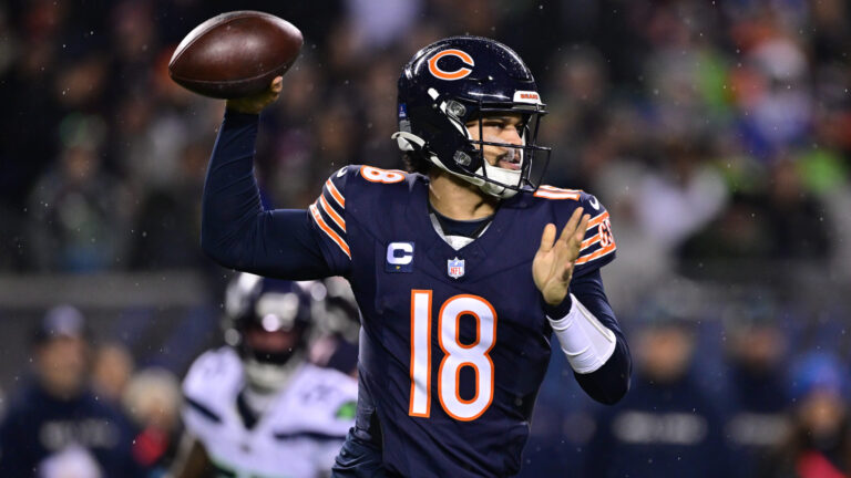 4. Chicago Bears