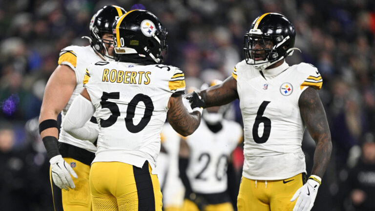 14. Pittsburgh Steelers