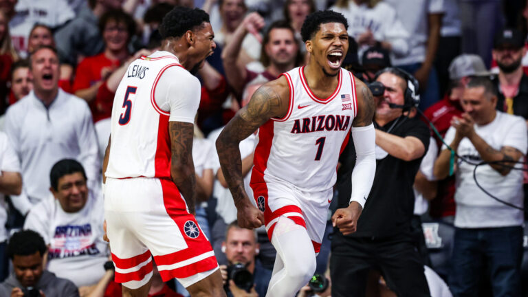 3 Seed: Arizona Wildcats