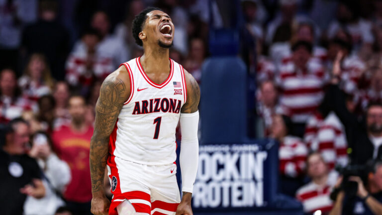 7) Arizona Wildcats