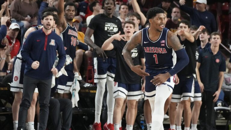 2 Seed: Arizona Wildcats