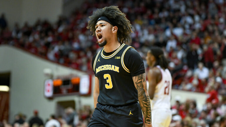 23) Michigan Wolverines
