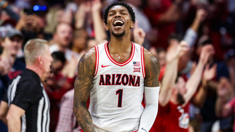 8) Arizona Wildcats