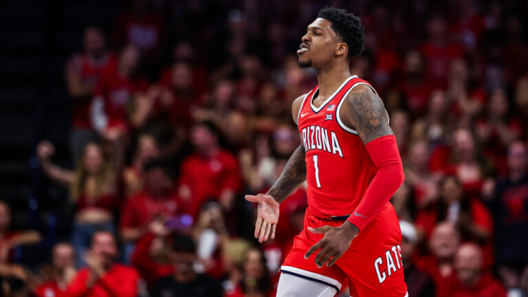 3 Seed: Arizona Wildcats