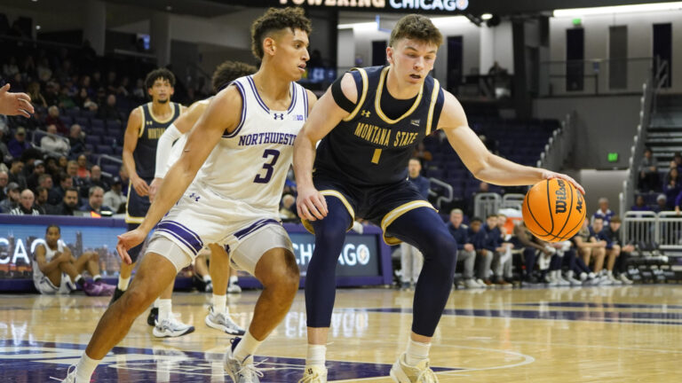 Montana State Bobcats vs Idaho State Bengals