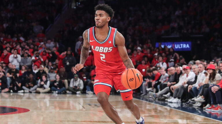 40) New Mexico Lobos
