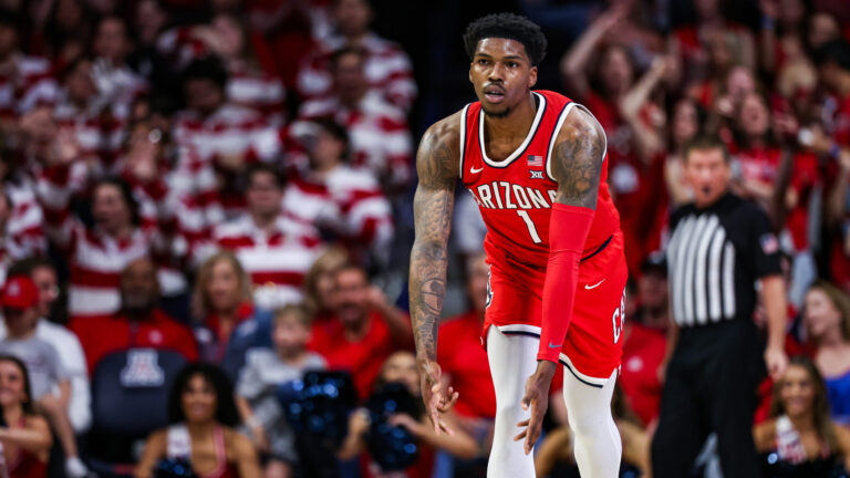 4 Seed: Arizona Wildcats
