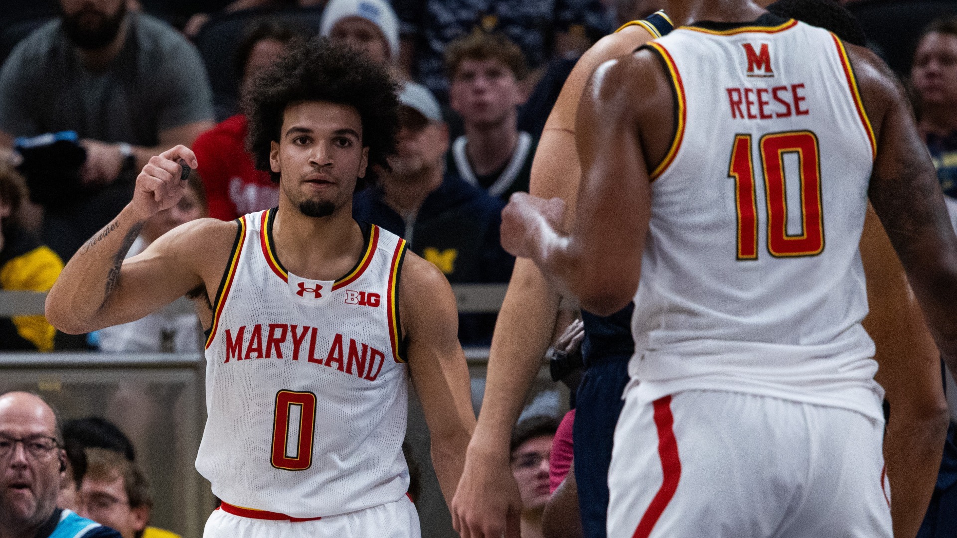 Maryland +6.5 vs. Florida