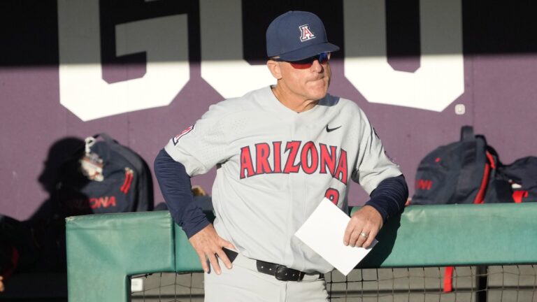 24) Arizona Wildcats