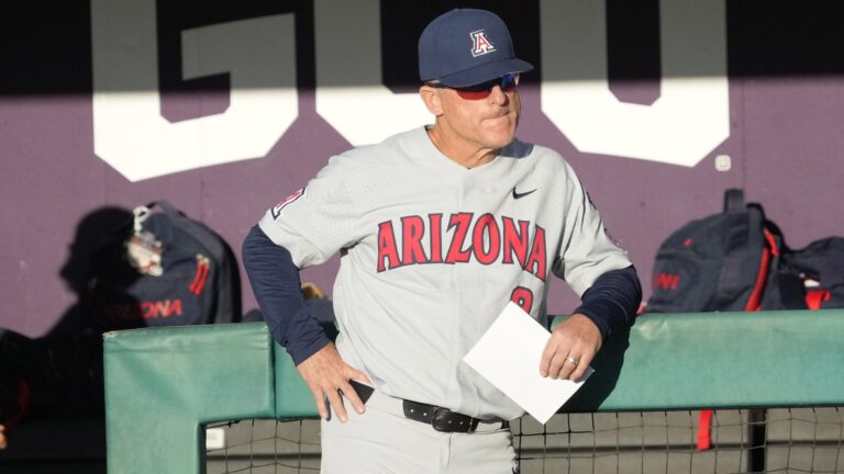 24) Arizona Wildcats