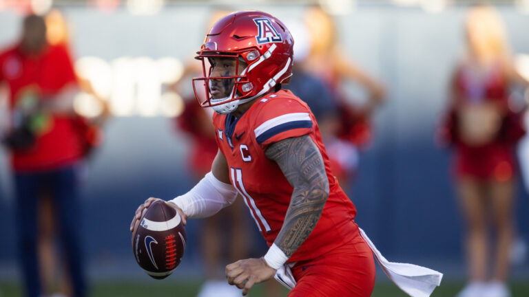 44. Arizona Wildcats