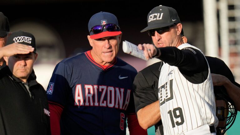 22) Arizona Wildcats