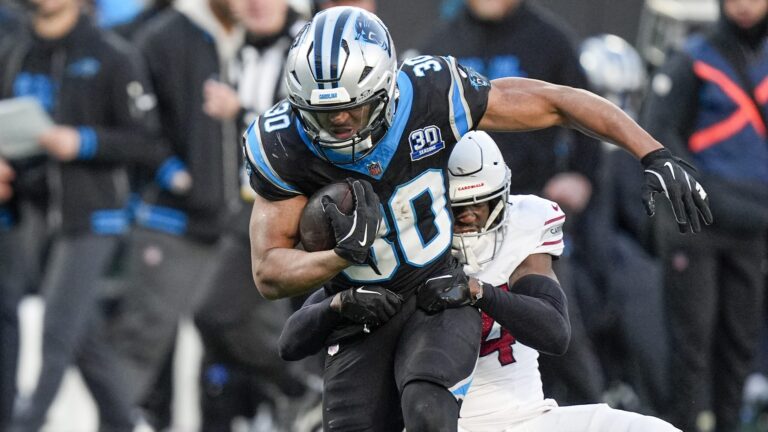 14. Carolina Panthers