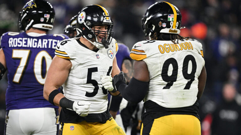 Pittsburgh Steelers - Week 17 at Cleveland Browns
