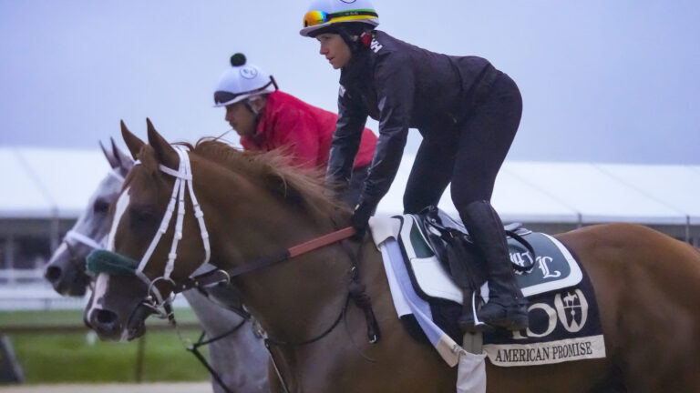 3. American Promise (15-1)