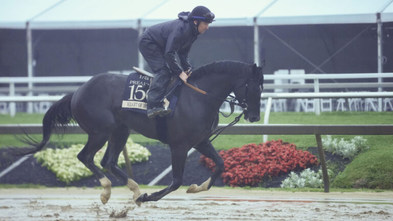 4. Heart of Honor (12-1)