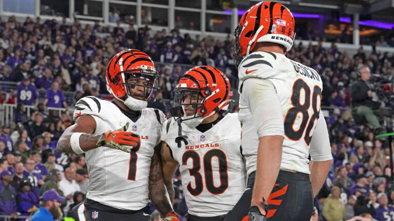 18. Cincinnati Bengals