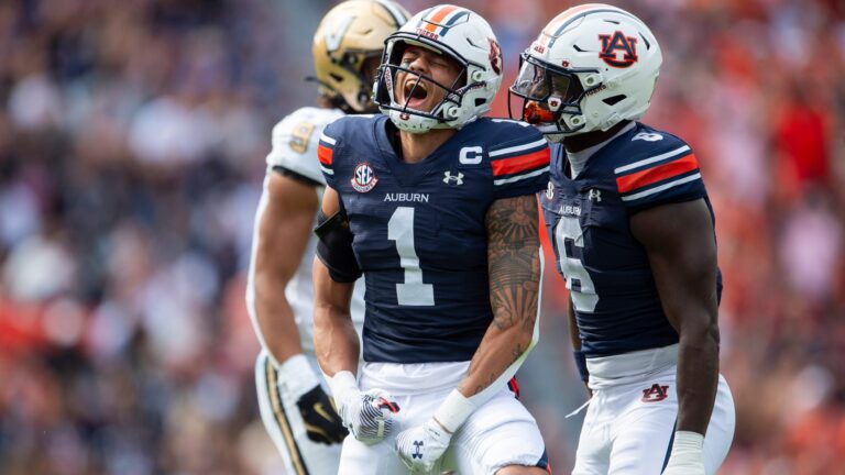 22. Auburn Tigers