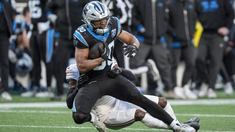 29. Carolina Panthers