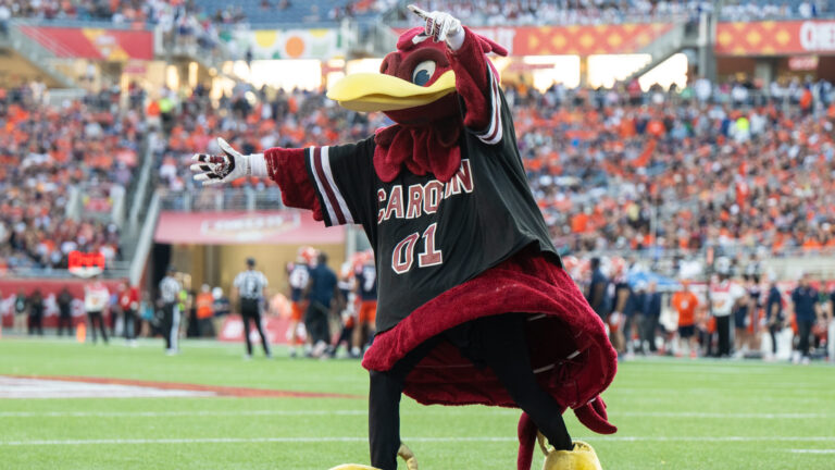 18. South Carolina Gamecocks