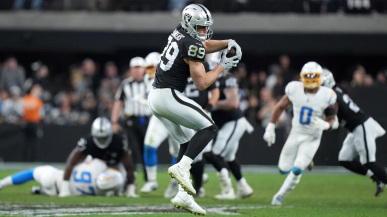 23. Las Vegas Raiders