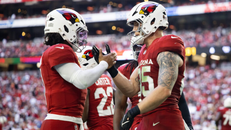 19. Arizona Cardinals