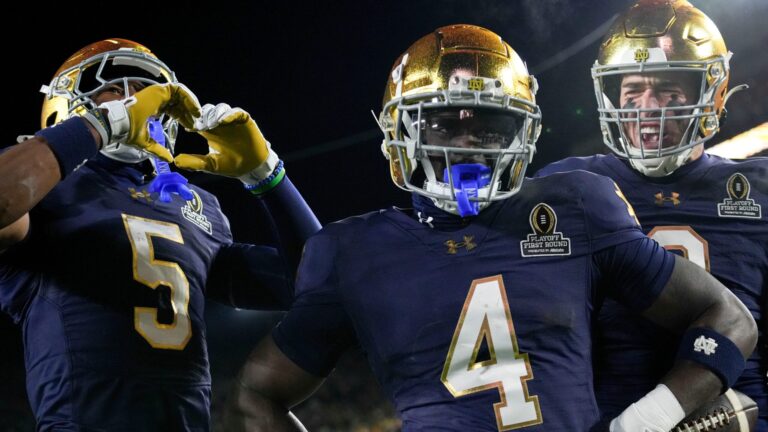 15. Notre Dame Fighting Irish