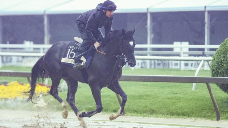 8. Heart of Honor (30-1)