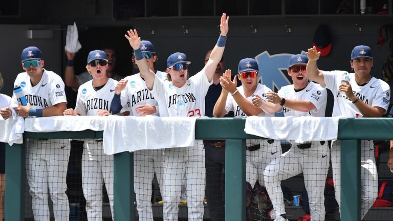 7) Arizona Wildcats (Previous Rank: 13)