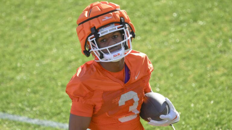 96) RB Marquise Henderson, Clemson