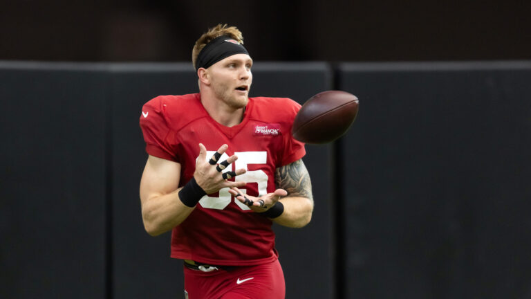 18. Arizona Cardinals