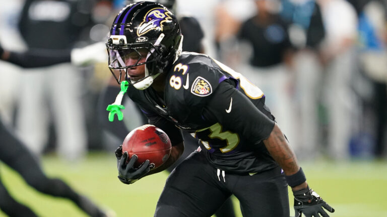 #4 Seed AFC - Baltimore Ravens