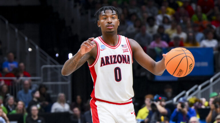 13) Arizona Wildcats