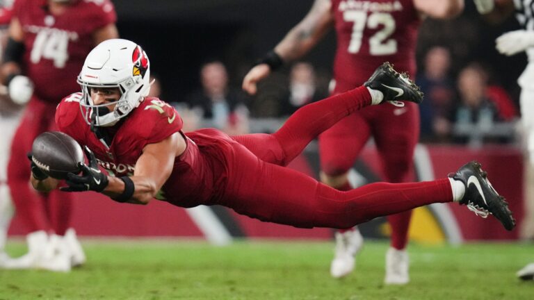 14) Arizona Cardinals