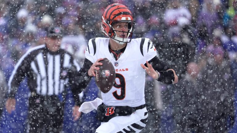 11) Cincinnati Bengals
