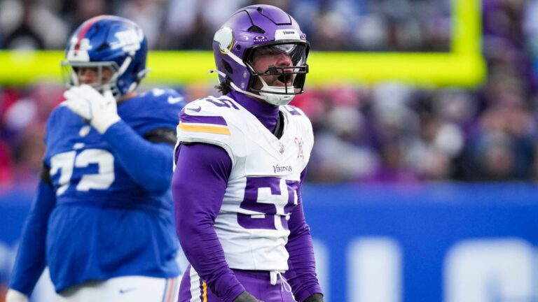 Minnesota Vikings