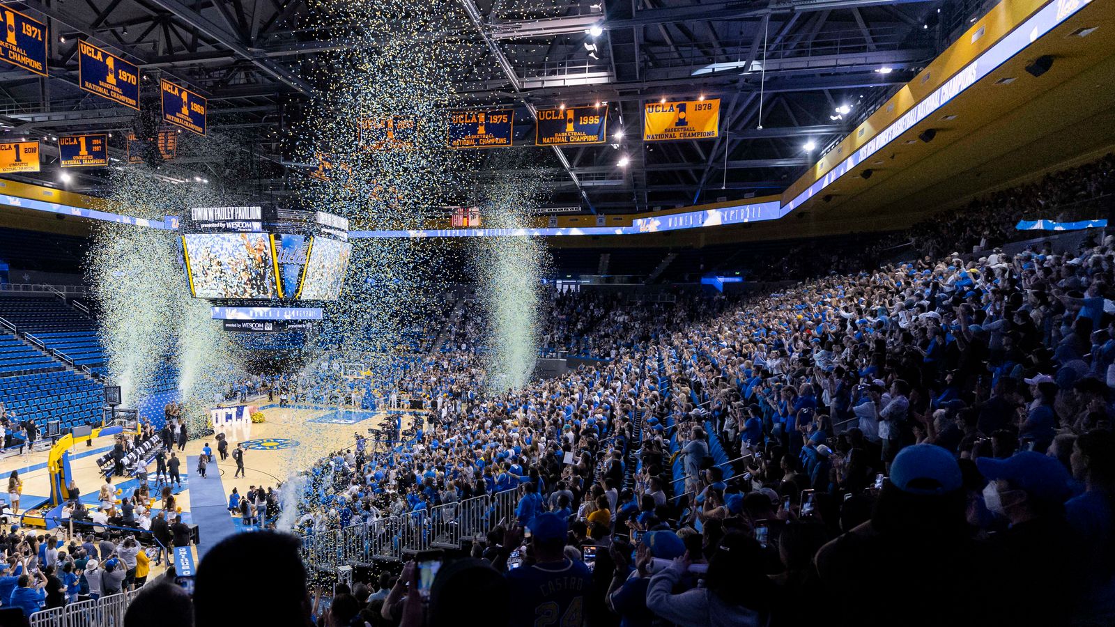 A Rain of Blue and Gold Confetti