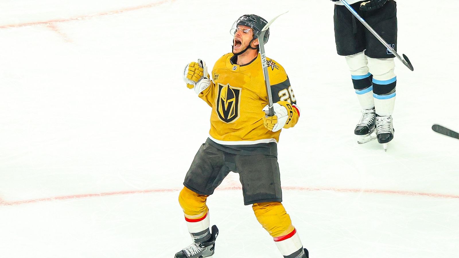 Nic Dowd Go-Ahead Goal Roar