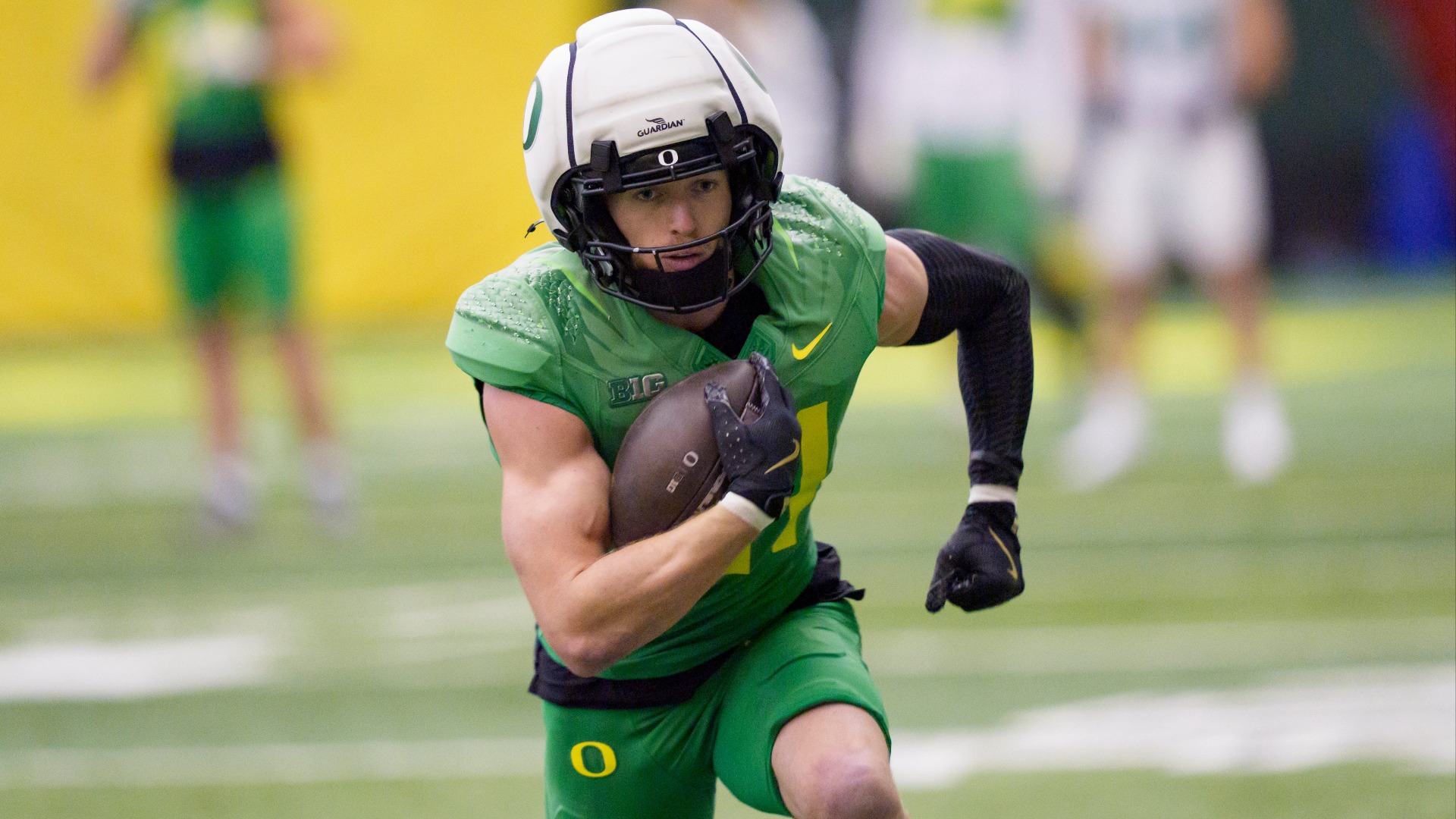 #18 Minnesota Vikings: Dillon Thieneman, S, Oregon