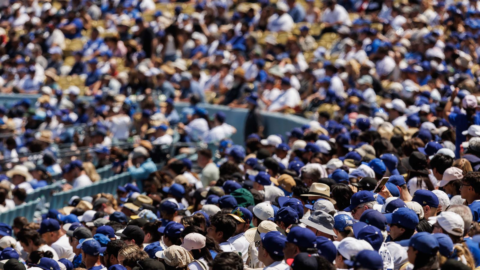 Dodgers fans show their support during the Braves game.