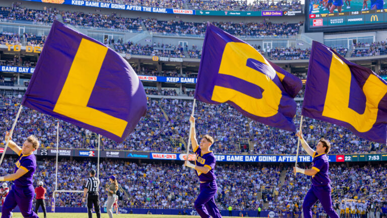 3. LSU