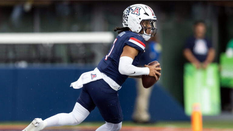 29. Arizona Wildcats