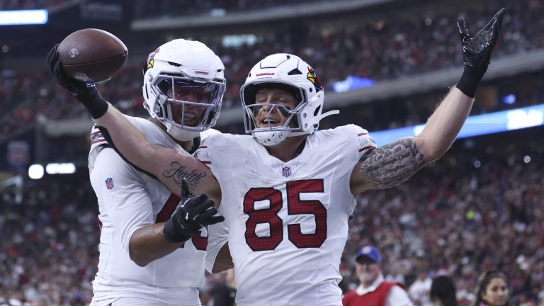 29) Arizona Cardinals