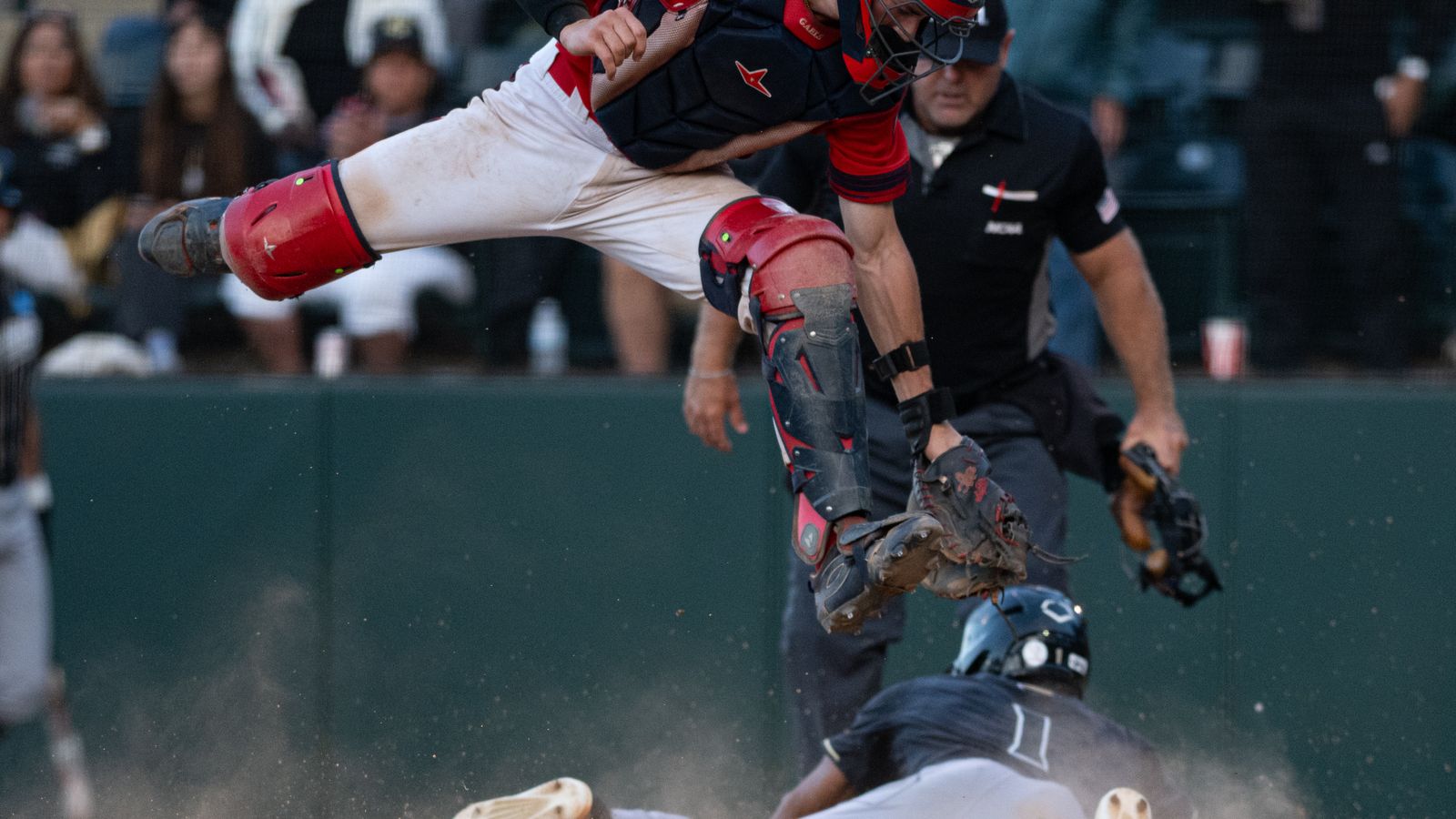 Casey Murray Jr scores at home plate in NCAA regional game